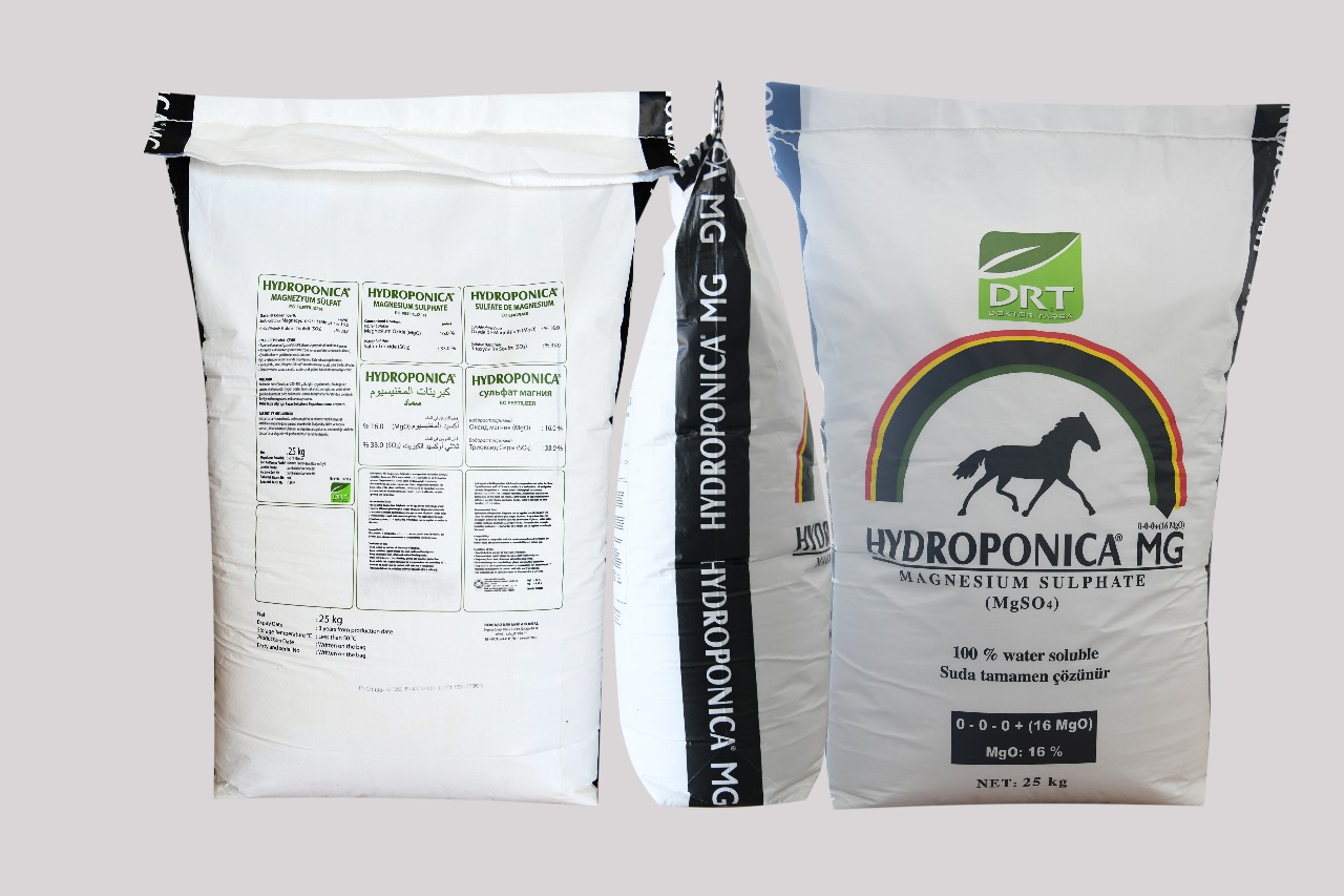 HYDROPONICA MG