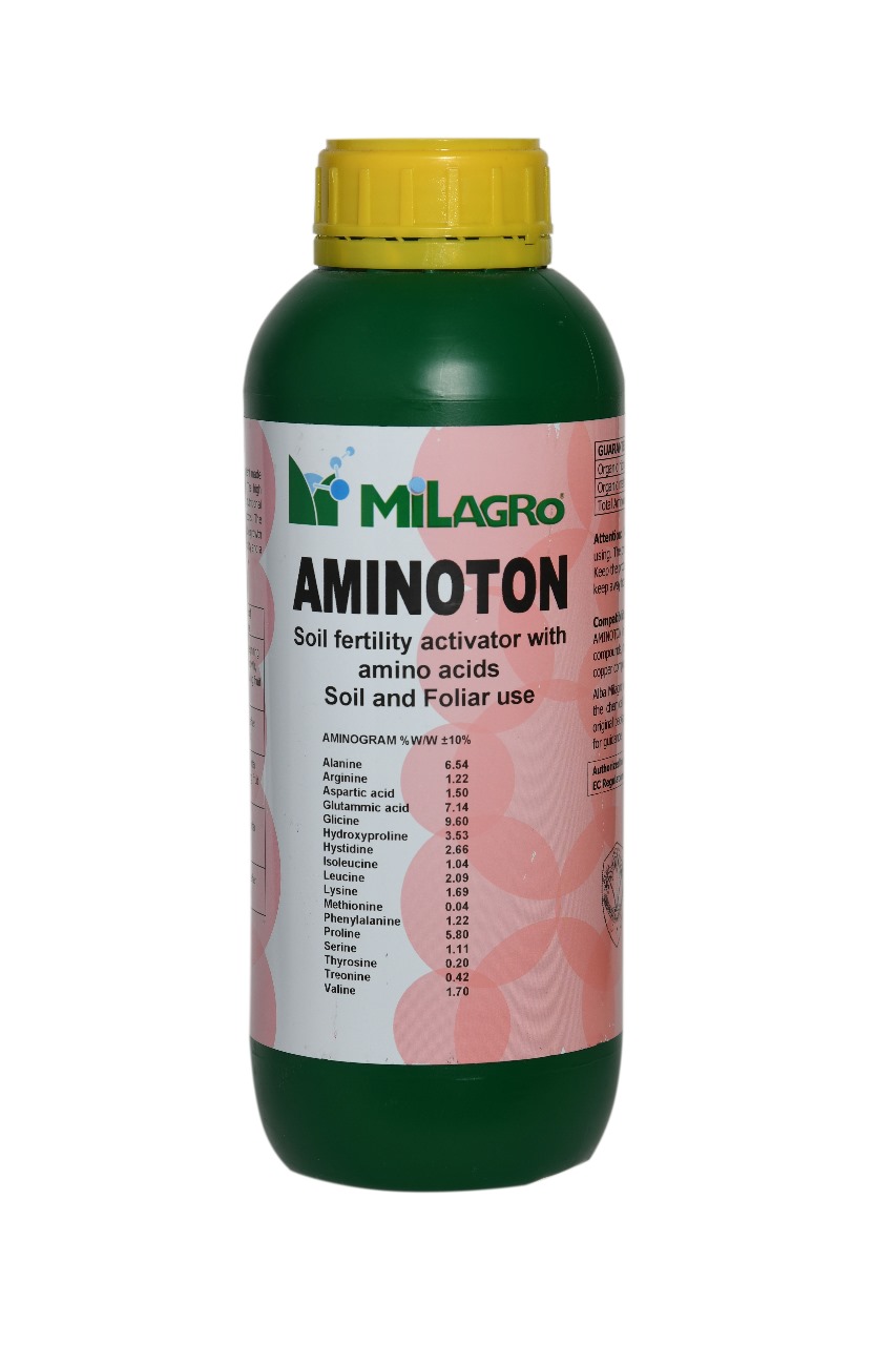 AMINOTON