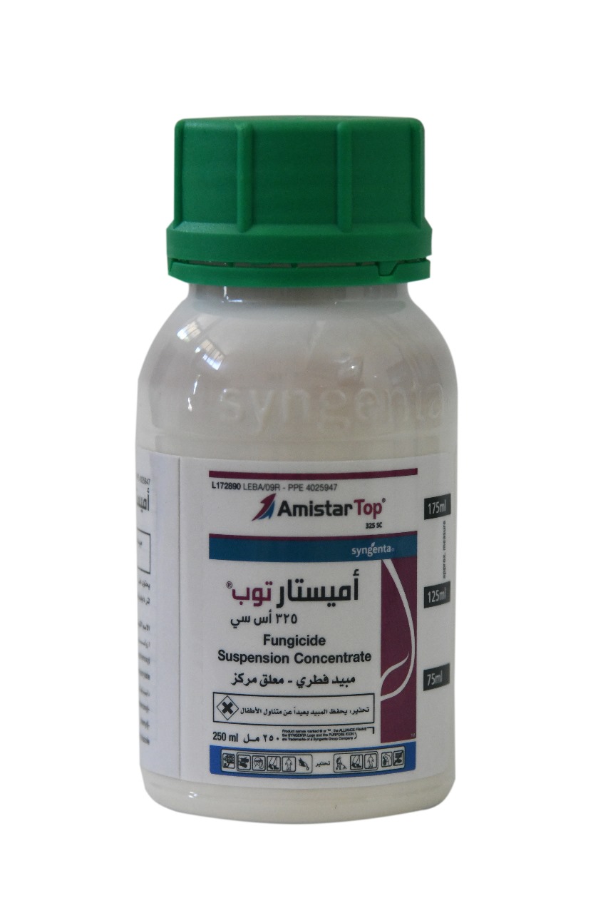 AMISTAR TOP