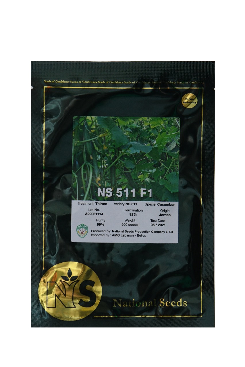 CUCUMBER NS 511 F1