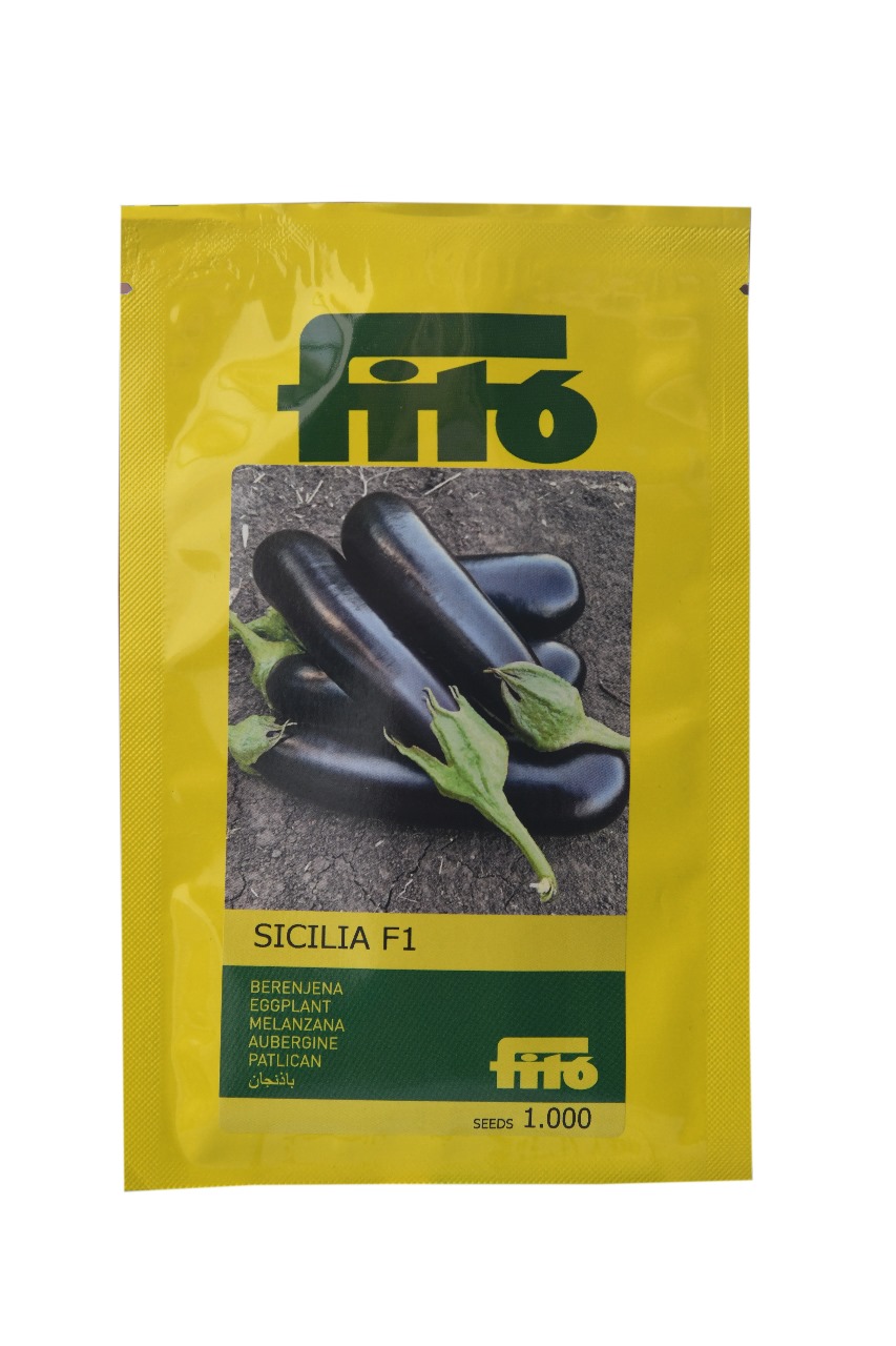 EGGPLANT - AUBERGINE