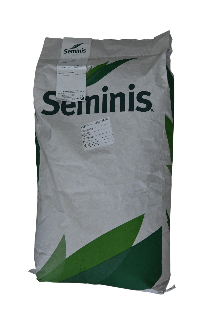 SEMINIS