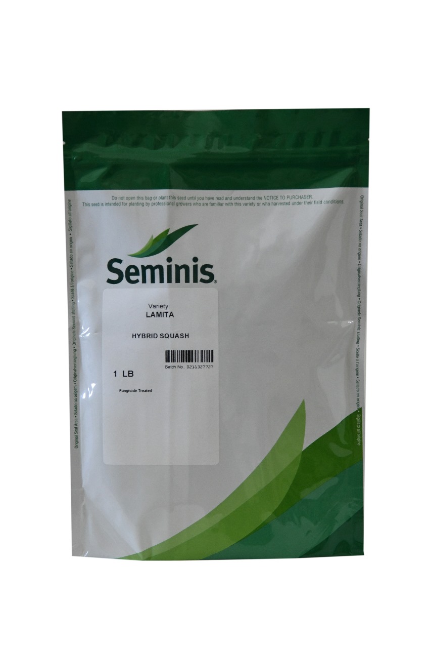 SEMINIS