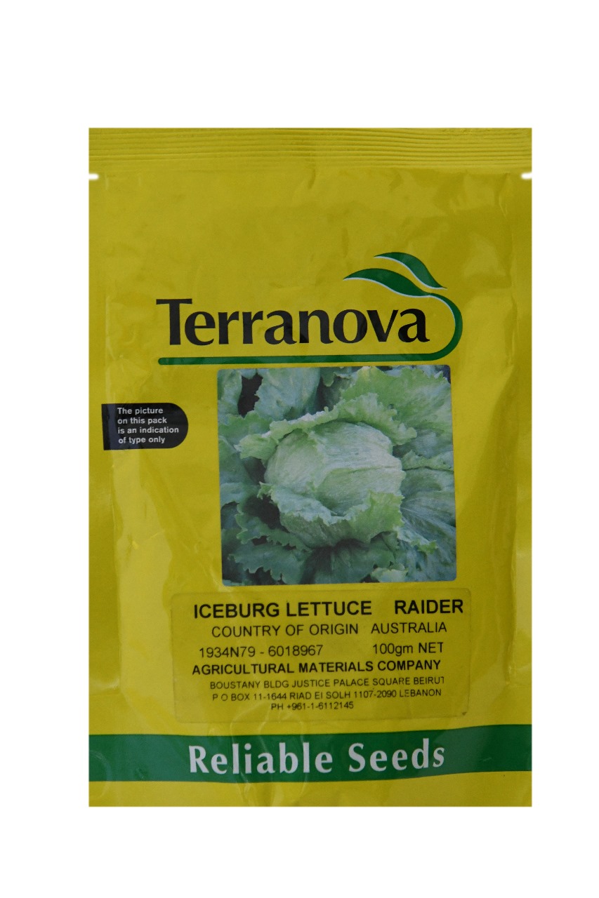 TERRANOVA ICEBURG
