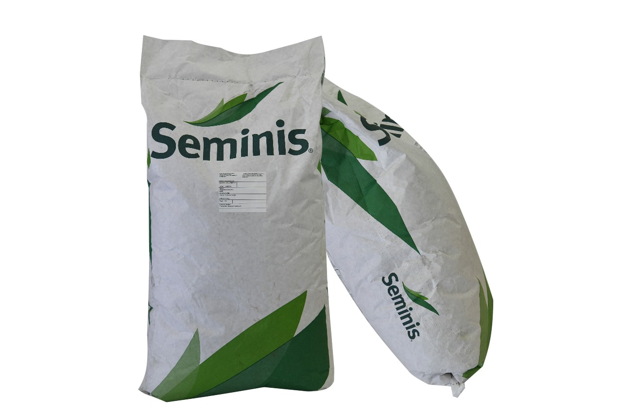 SEMINIS