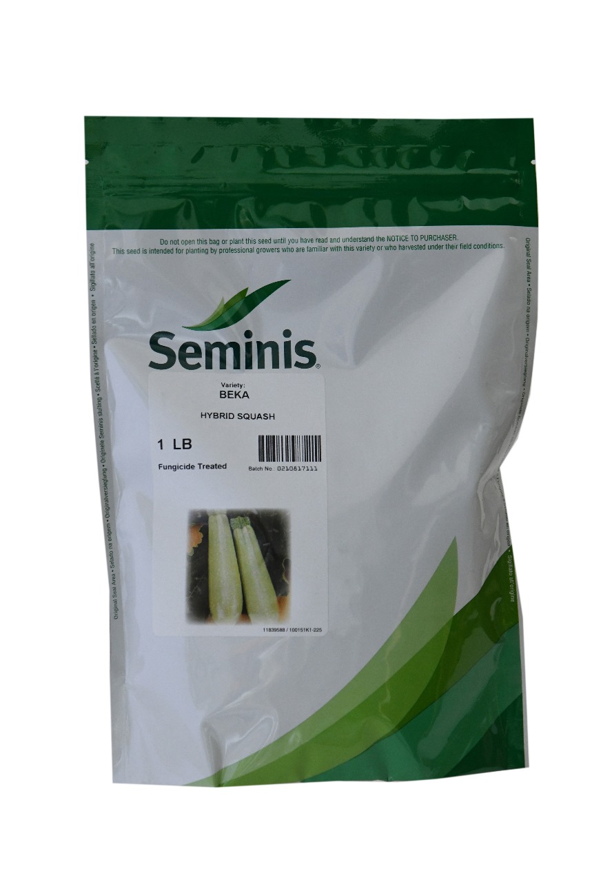 SEMINIS