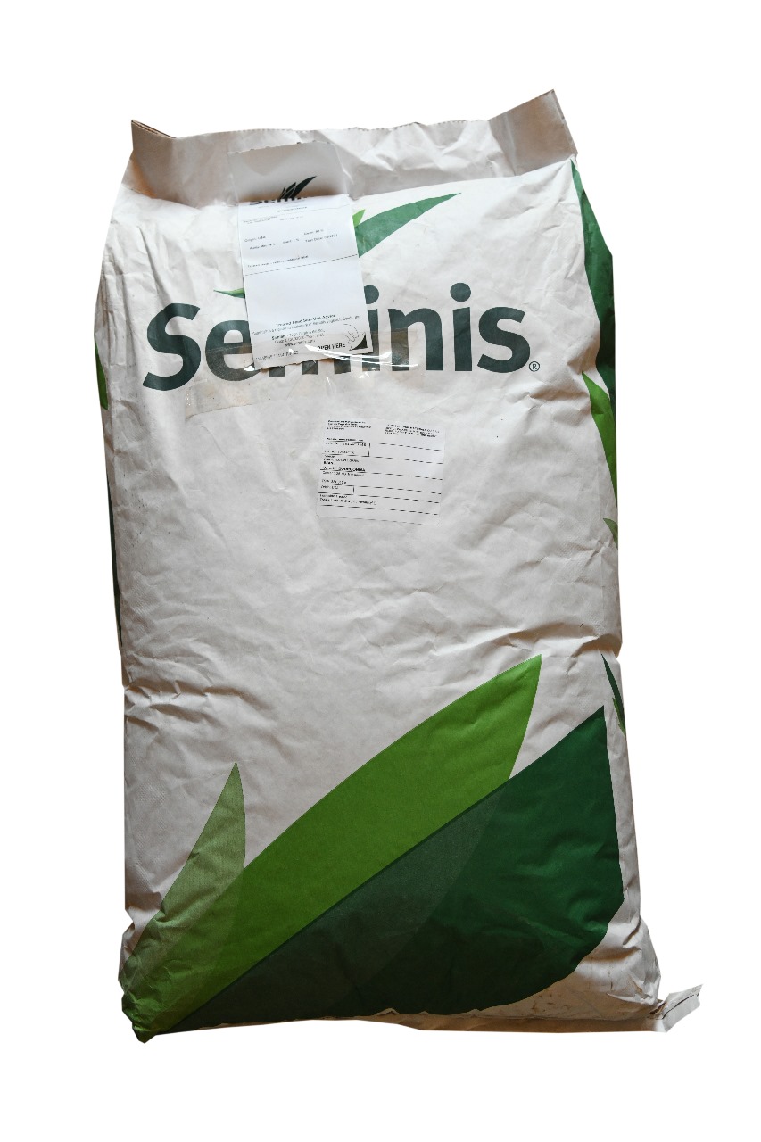 SEMINIS