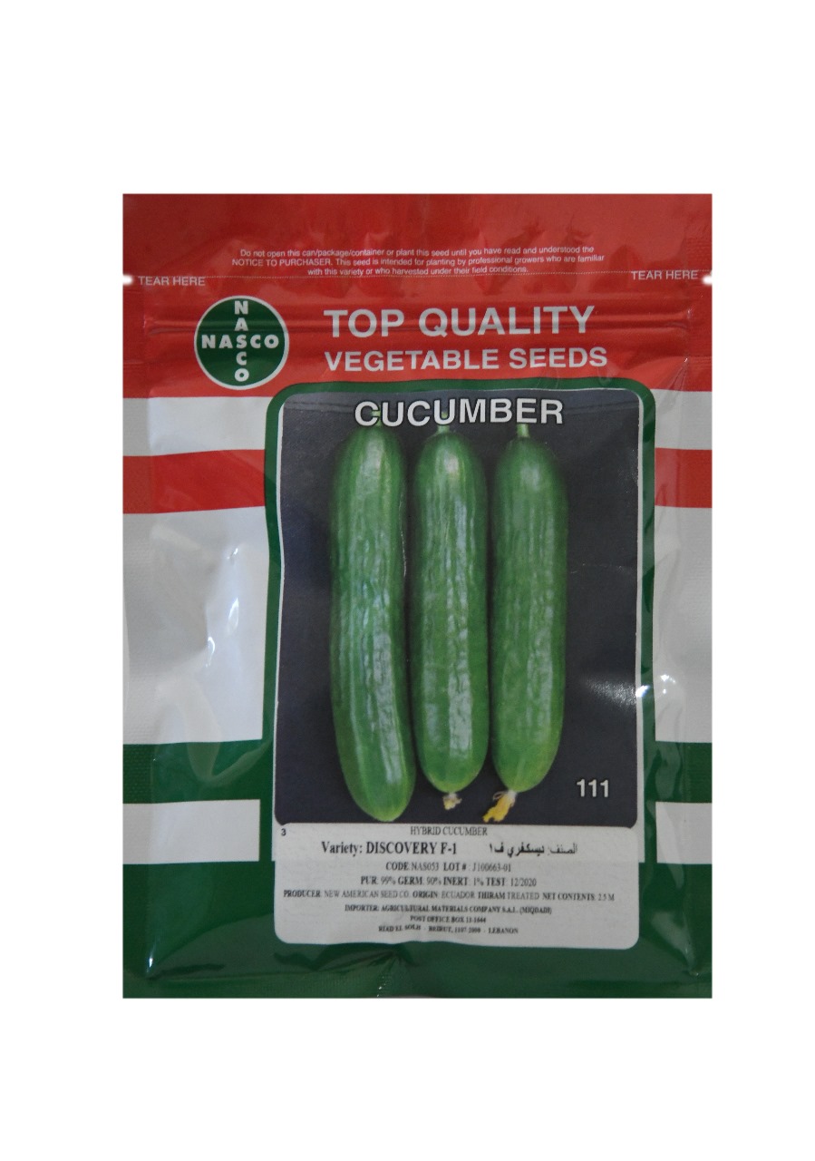 CUCUMBER
